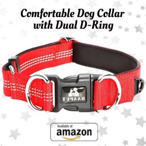Comfortable Dog Collar with Dual D-Ring