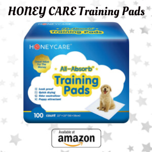 HONEY CARE Training Pads