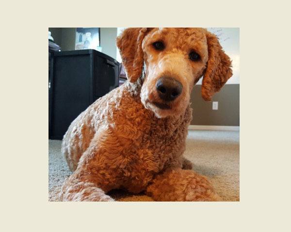 Profile photo