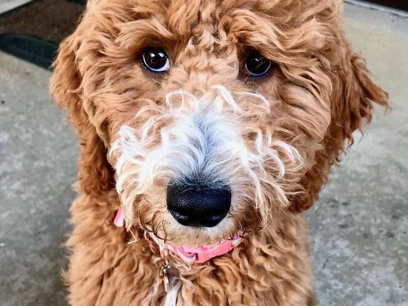 Profile photo