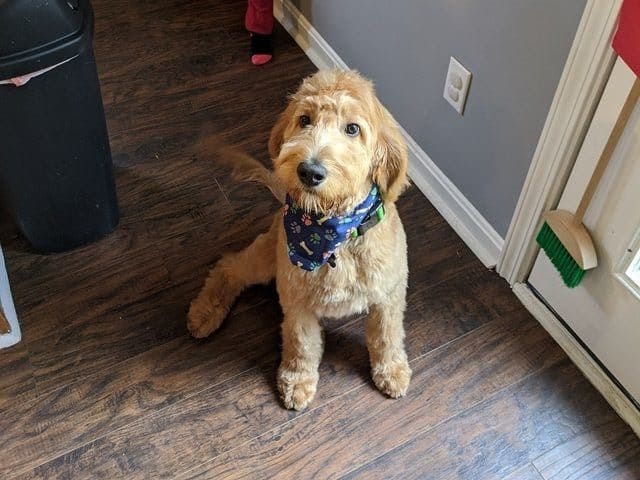 Profile photo