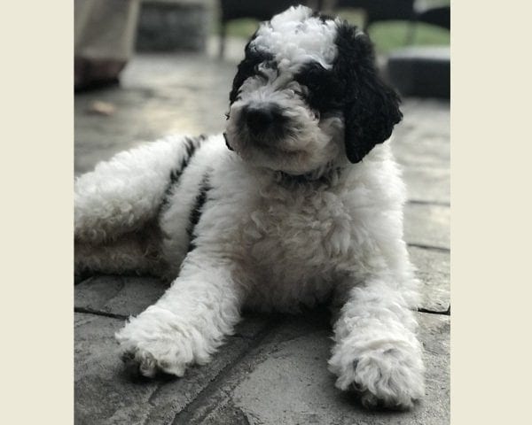 Profile photo