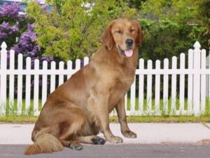 Photo of Winifred