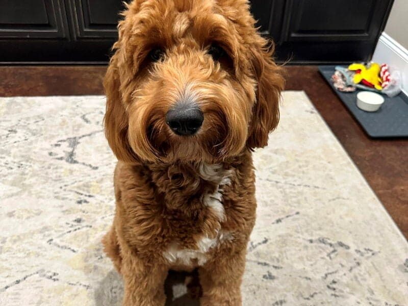 Profile photo