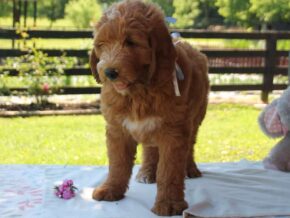 Photo of Kody