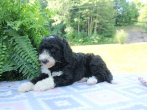 Photo of Charissa