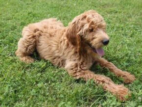 Photo of Marlee
