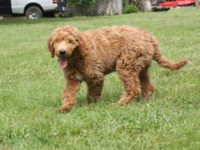 Photo of Marlee