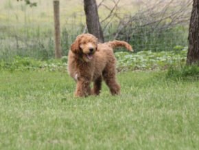 Photo of Marlee