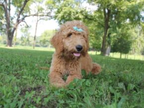 Photo of Kenalie