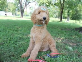 Photo of Kenalie