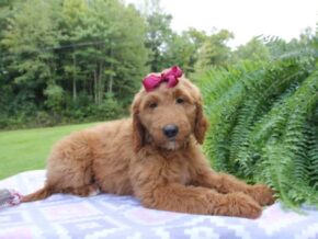 Photo of Wynette