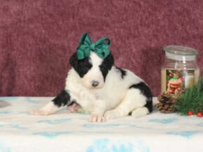 Photo of Chiquita