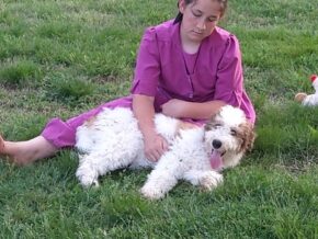 Photo of Dolly