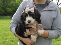 Photo4 for Leane