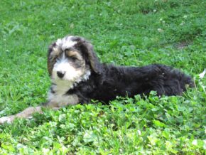 Photo of Leane