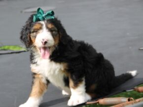 Photo of Leni