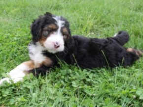 Photo of Leni
