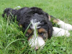 Photo of Leni