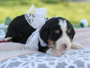 Photo of Lexie