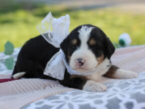 Photo of Lexie