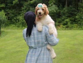 Photo of Caramel