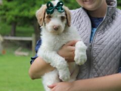 Photo3 for Chaney