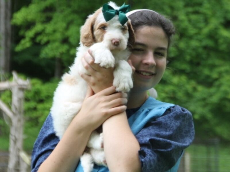 Chaney image