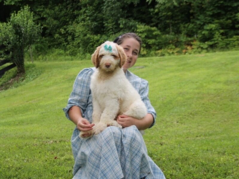Chaney image