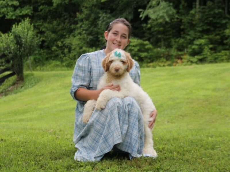 Chaney image