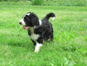 Photo of Charlene
