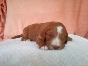 Photo of Malcolm