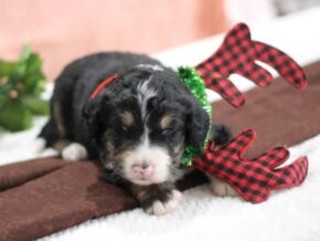 Photo of Lenie
