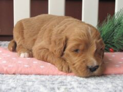 Photo1 for Katrielle