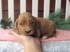 Photo4 for Katrielle