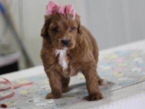 Photo of Katrielle