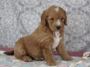 Photo of Kenton