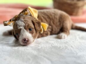 Photo of Rorie