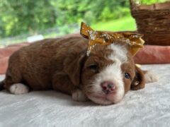 Photo2 for Rorie