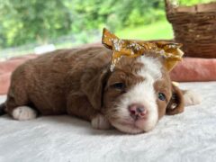 Photo3 for Rorie