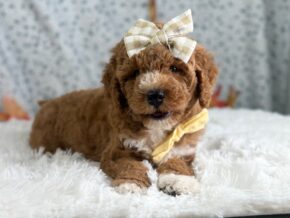 Photo of Roseann