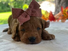 Photo of Ruthie