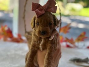 Photo of Ruthie