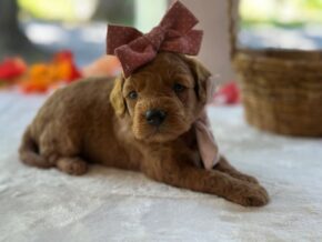 Photo of Ruthie