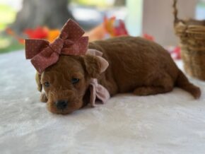 Photo of Ruthie