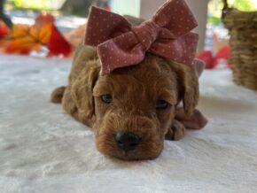 Photo of Ruthie