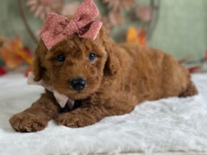 Photo of Ruthie