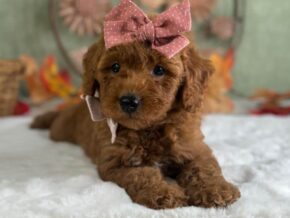 Photo of Ruthie