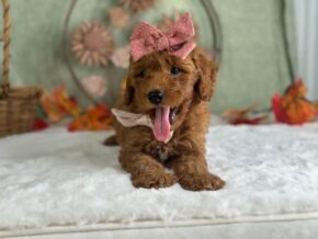 Photo of Ruthie