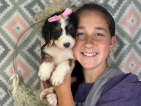Isabelle at Blessed Hope Kennels